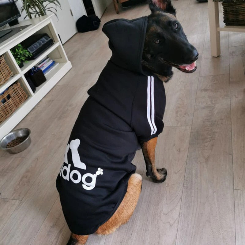 Adidog Jacket