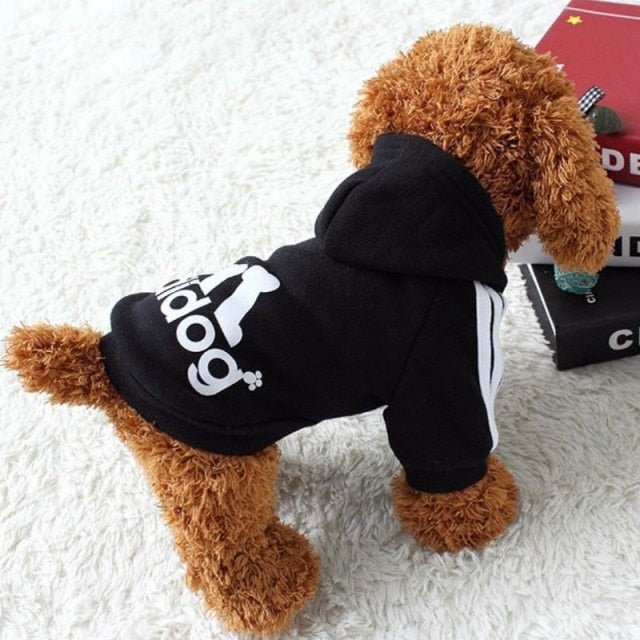 Adidog Jacket