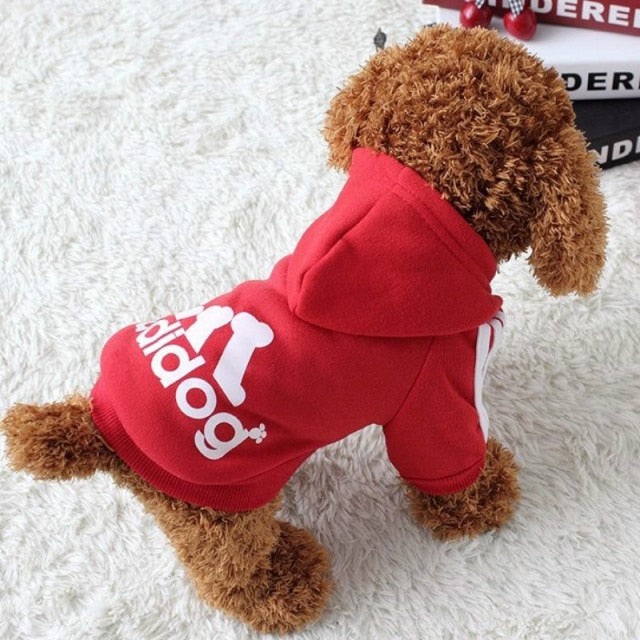 Adidog Jacket