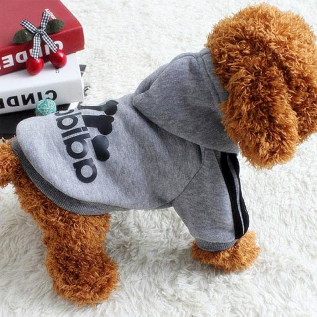 Adidog Jacket