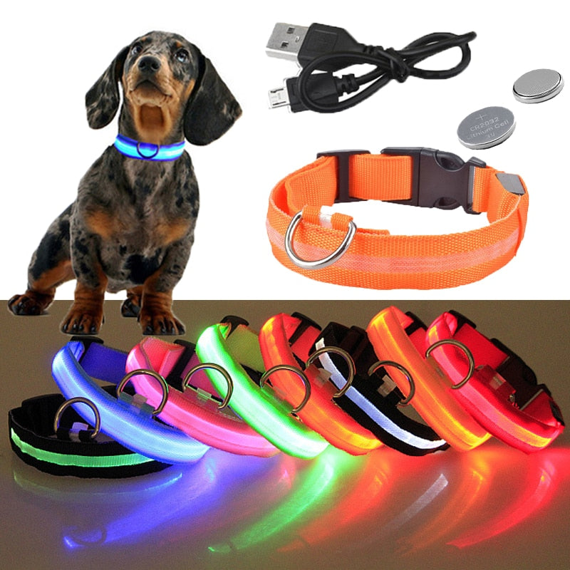 Pet Dog LED Luminous Flashing Necklace