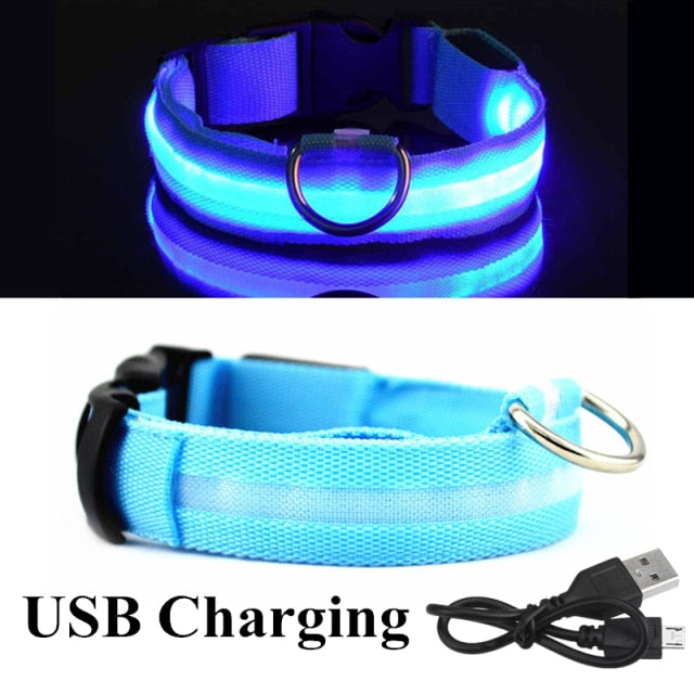 Pet Dog LED Luminous Flashing Necklace