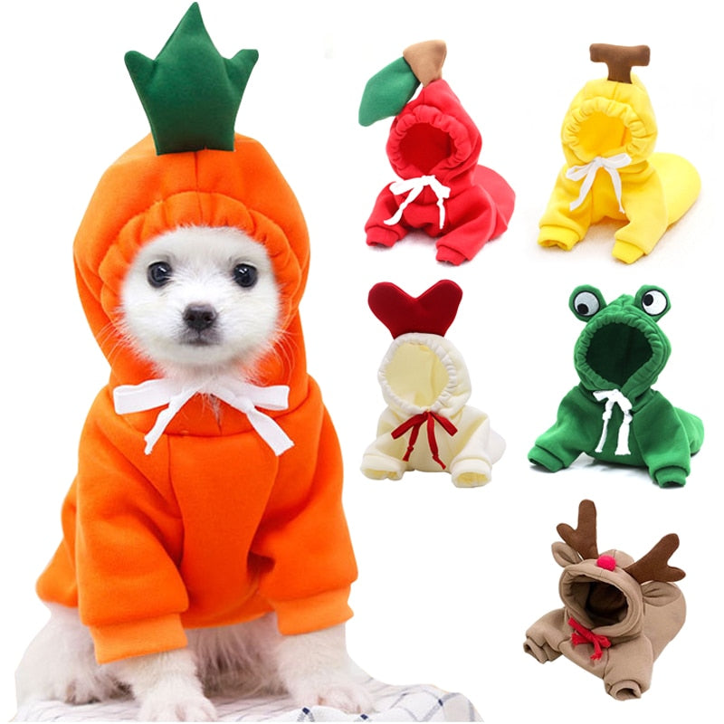 Cute Fruit Dog Clothes for Small Dogs