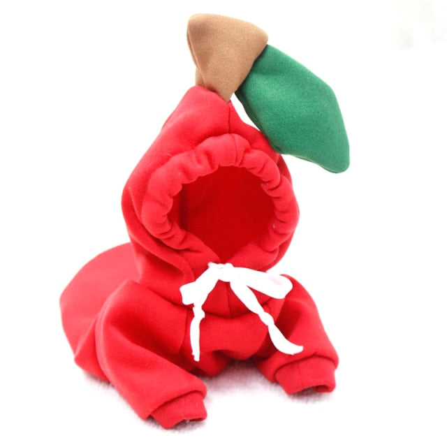 Cute Fruit Dog Clothes for Small Dogs