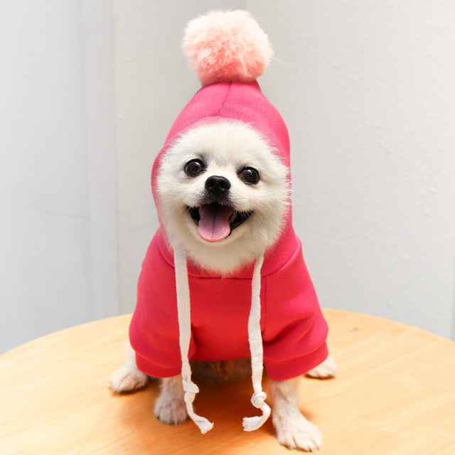 Cute Fruit Dog Clothes for Small Dogs