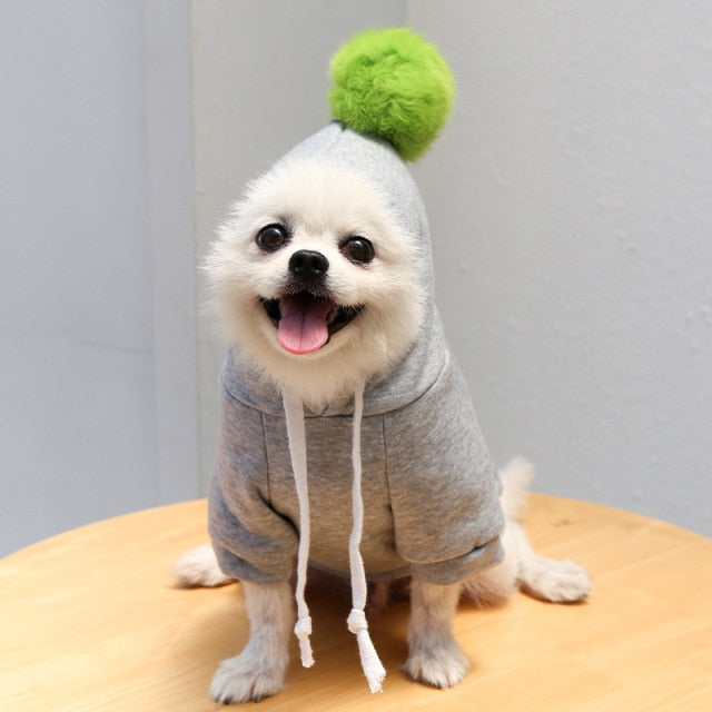 Cute Fruit Dog Clothes for Small Dogs