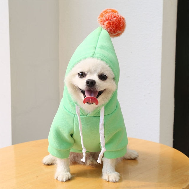 Cute Fruit Dog Clothes for Small Dogs