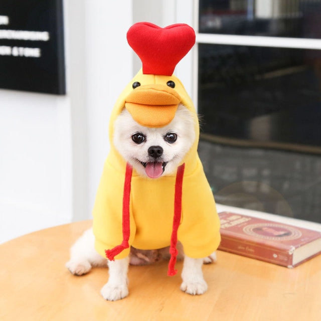 Cute Fruit Dog Clothes for Small Dogs